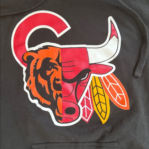Vintage Chicago hoodie Bears Cubs Bulls Blackhawks size Large - Picture 2 of 4